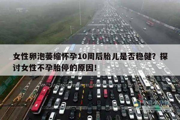 女性卵泡萎缩怀孕10周后胎儿是否稳健?探讨女性不孕胎停的原因!
