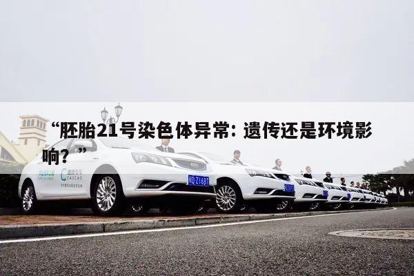 “胚胎21号染色体异常: 遗传还是环境影响?”