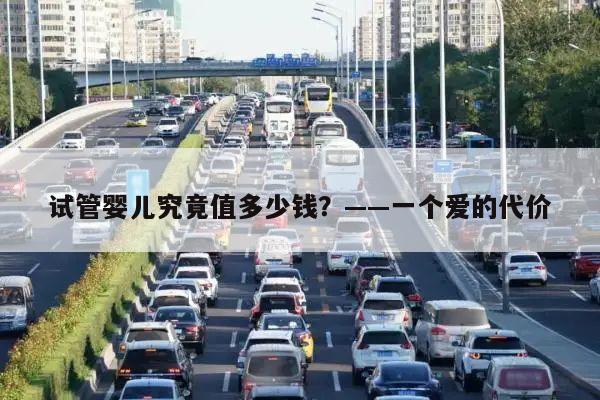 试管婴儿究竟值多少钱?——一个爱的代价
