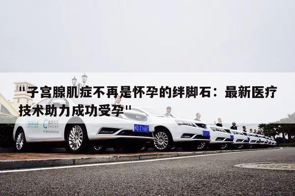 "子宫腺肌症不再是怀孕的绊脚石:最新医疗技术助力成功受孕"