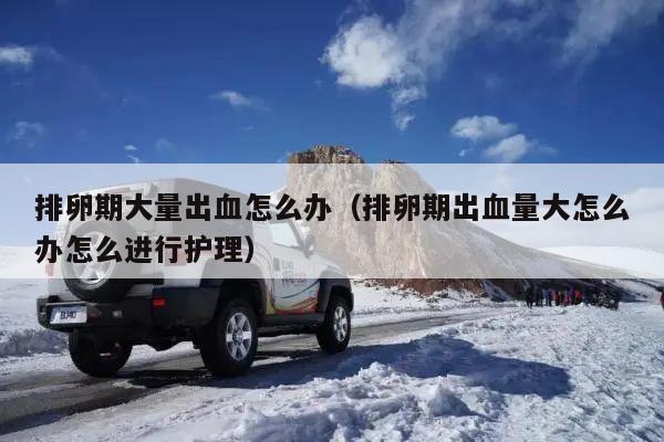 排卵期大量出血怎么办(排卵期出血量大怎么办怎么进行护理)