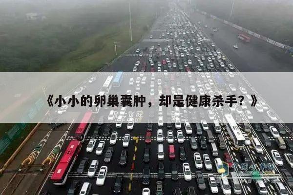 《小小的卵巢囊肿,却是健康杀手?》