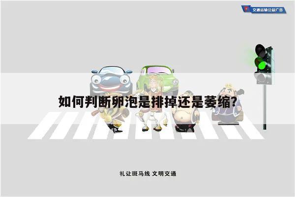 如何判断卵泡是排掉还是萎缩?