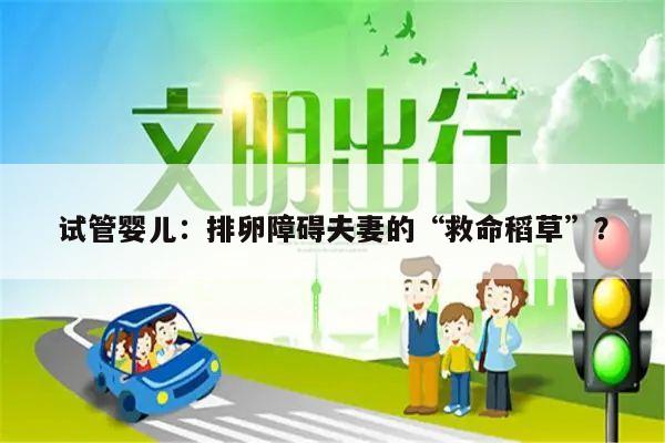 试管婴儿:排卵障碍夫妻的“救命稻草”?