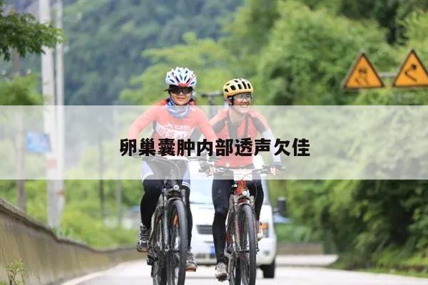 卵巢囊肿内部透声欠佳
