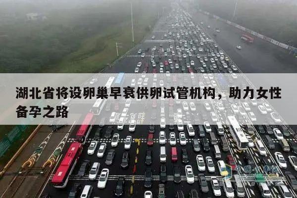 湖北省将设卵巢早衰供卵试管机构，助力女性备孕之路