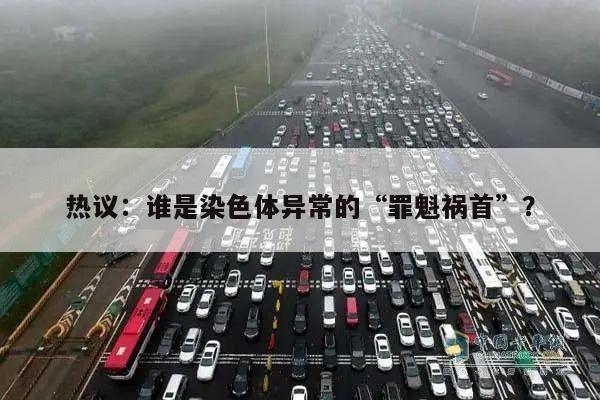 热议:谁是染色体异常的“罪魁祸首”?