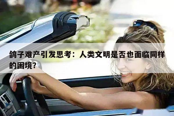 鸽子难产引发思考：人类文明是否也面临同样的困境？