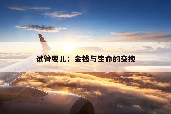 试管婴儿:金钱与生命的交换