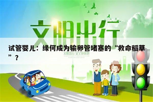 试管婴儿:缘何成为输卵管堵塞的“救命稻草”?