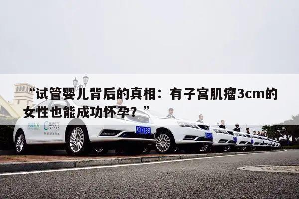 “试管婴儿背后的真相：有子宫肌瘤3cm的女性也能成功怀孕？”