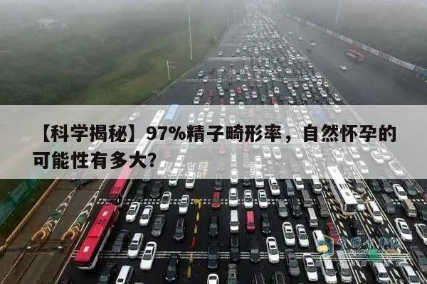 【科学揭秘】97%精子畸形率，自然怀孕的可能性有多大？