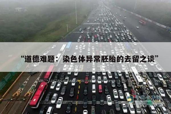 “道德难题：染色体异常胚胎的去留之谈”