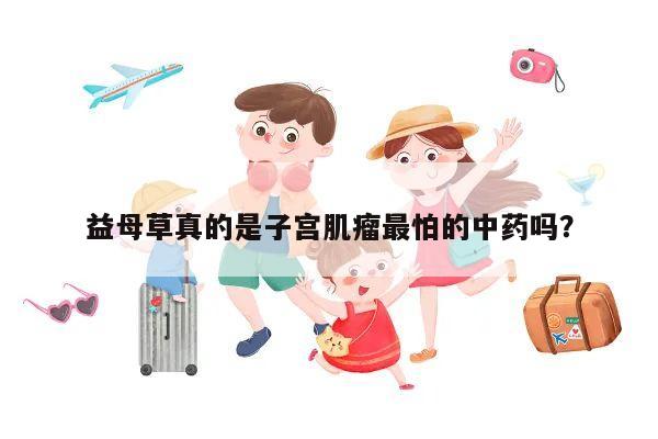 益母草真的是子宫肌瘤最怕的中药吗?