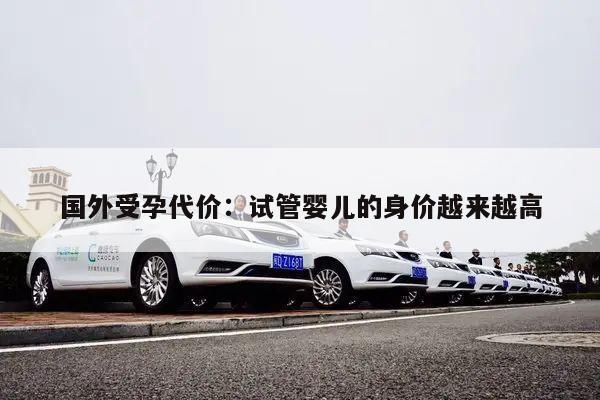 国外受孕代价:试管婴儿的身价越来越高