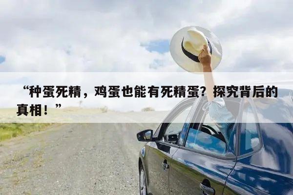 “种蛋死精，鸡蛋也能有死精蛋？探究背后的真相！”