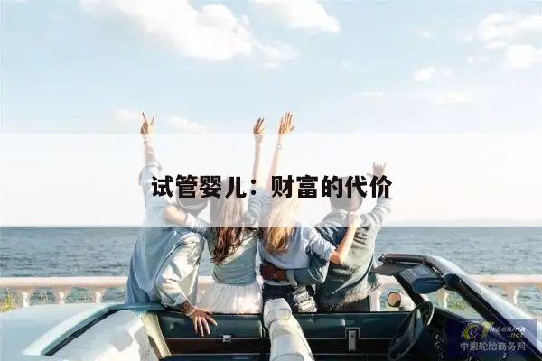 试管婴儿：财富的代价