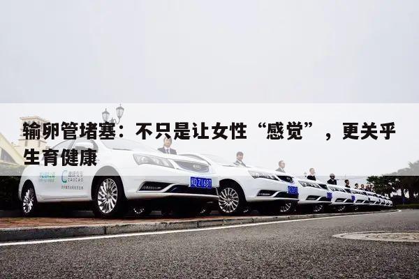 输卵管堵塞：不只是让女性“感觉”，更关乎生育健康