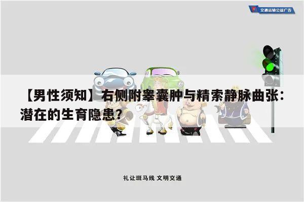 【男性须知】右侧附睾囊肿与精索静脉曲张:潜在的生育隐患?