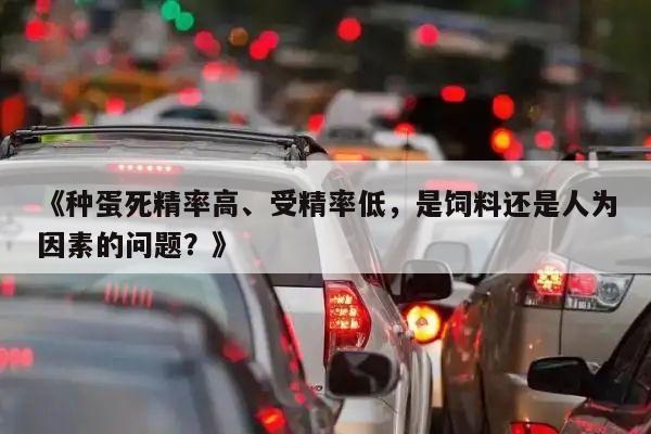种蛋死精率高、受精率低,是饲料还是人为因素的问题?