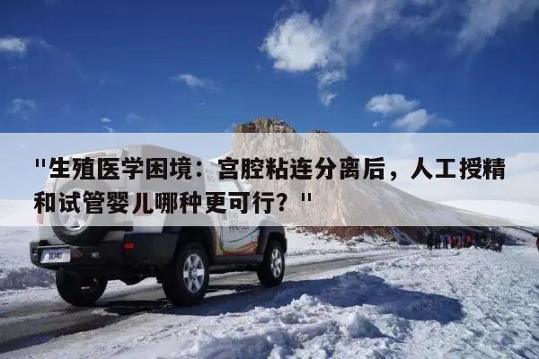 "生殖医学困境:宫腔粘连分离后,人工授精和试管婴儿哪种更可行?"