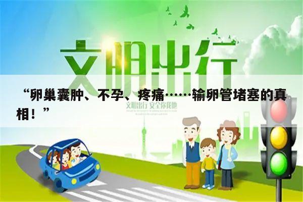 “卵巢囊肿、不孕、疼痛……输卵管堵塞的真相!”