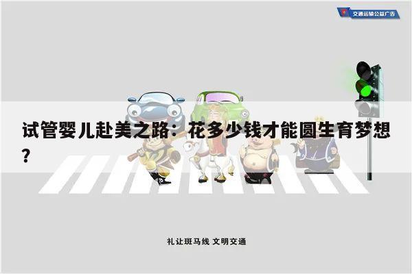 试管婴儿赴美之路:花多少钱才能圆生育梦想?
