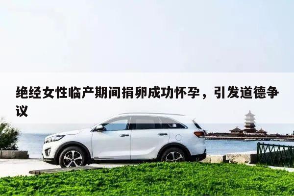 绝经女性临产期间捐卵成功怀孕,引发道德争议