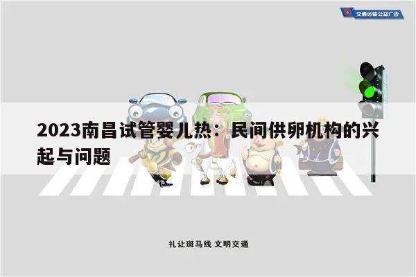 2023南昌试管婴儿热:民间供卵机构的兴起与问题