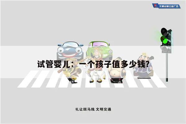 试管婴儿:一个孩子值多少钱?