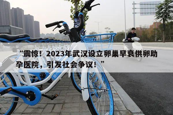 “震惊！2023年武汉设立卵巢早衰供卵助孕医院，引发社会争议！”