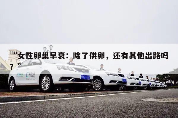 “女性卵巢早衰:除了供卵,还有其他出路吗?”
