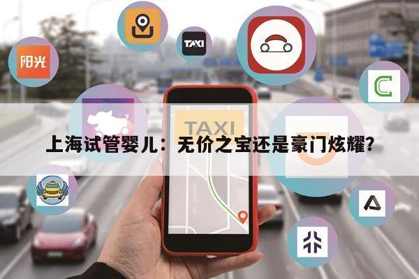 上海试管婴儿:无价之宝还是豪门炫耀?
