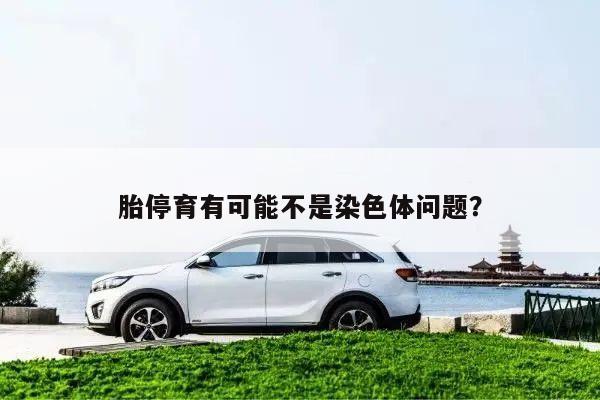 胎停育有可能不是染色体问题?