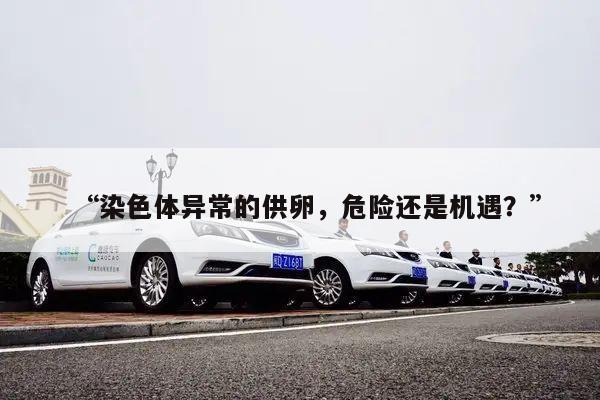 “染色体异常的供卵，危险还是机遇？”