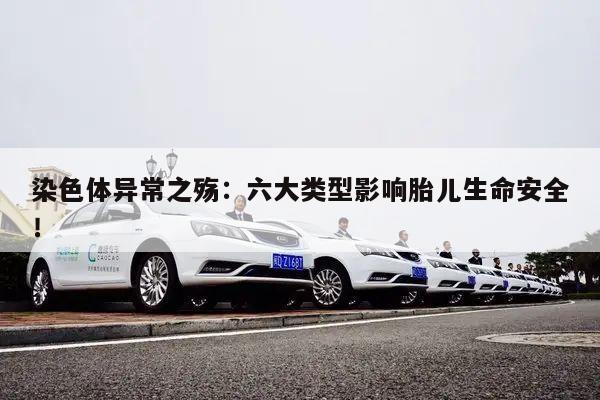 染色体异常之殇:六大类型影响胎儿生命安全!