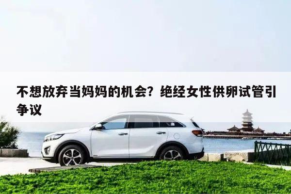 不想放弃当妈妈的机会?绝经女性供卵试管引争议