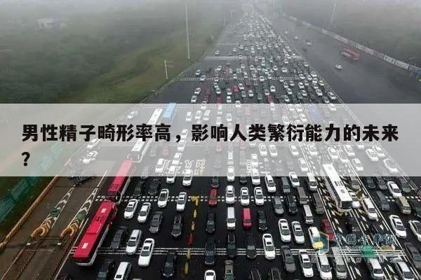 男性精子畸形率高,影响人类繁衍能力的未来?
