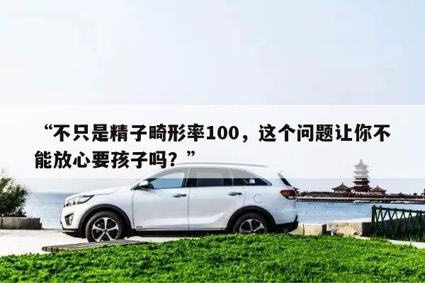 “不只是精子畸形率100，这个问题让你不能放心要孩子吗？”