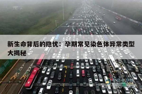 新生命背后的隐忧:孕期常见染色体异常类型大揭秘