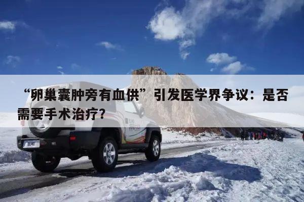 “卵巢囊肿旁有血供”引发医学界争议:是否需要手术治疗?