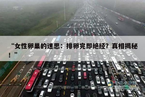 “女性卵巢的迷思:排卵完即绝经?真相揭秘!”
