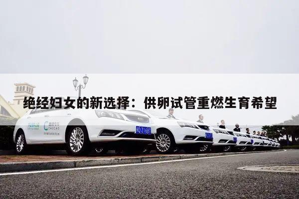 绝经妇女的新选择：供卵试管重燃生育希望