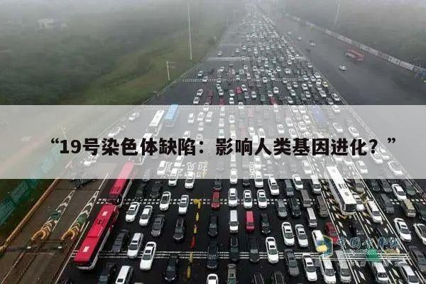 “19号染色体缺陷:影响人类基因进化?”