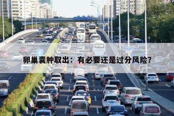 卵巢囊肿取出:有必要还是过分风险?