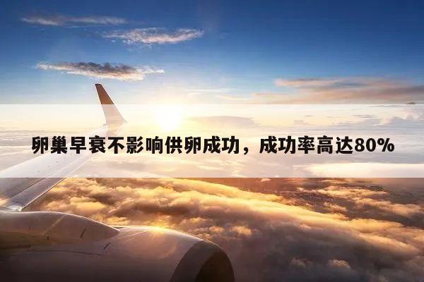 卵巢早衰不影响供卵成功,成功率高达80%