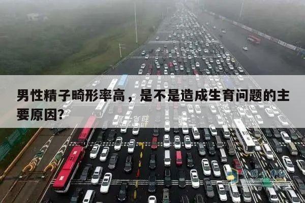 男性精子畸形率高，是不是造成生育问题的主要原因？