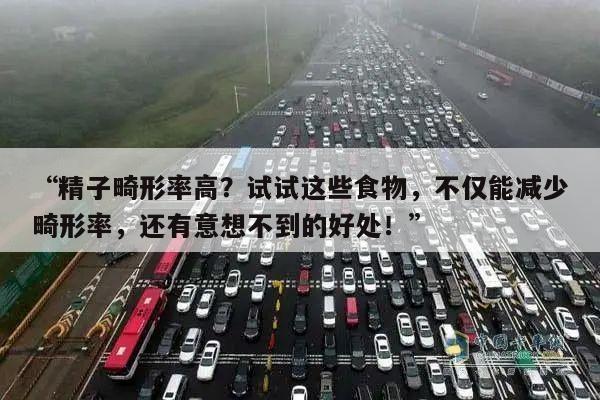 精子畸形率高？试试这些食物，不仅能减少畸形率，还有意想不到的好处！