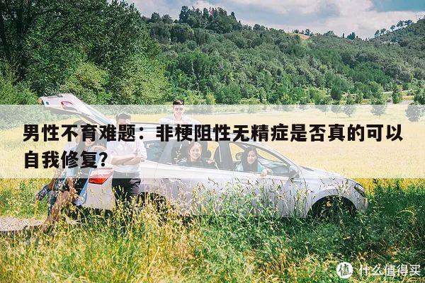 男性不育难题:非梗阻性无精症是否真的可以自我修复?