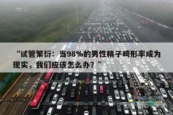 “试管繁衍:当98%的男性精子畸形率成为现实,我们应该怎么办?”